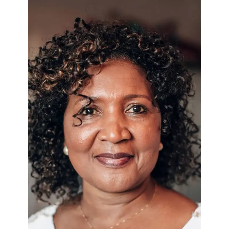 Curly Wigs For Black Women Lace Front Brown Wigs Without Bangs Synthetic Wigs