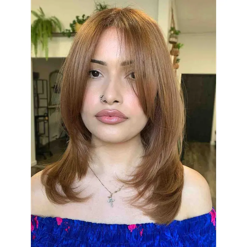 Wigs Lacefront Medium Length Straight Layered 14" Brown Wigs