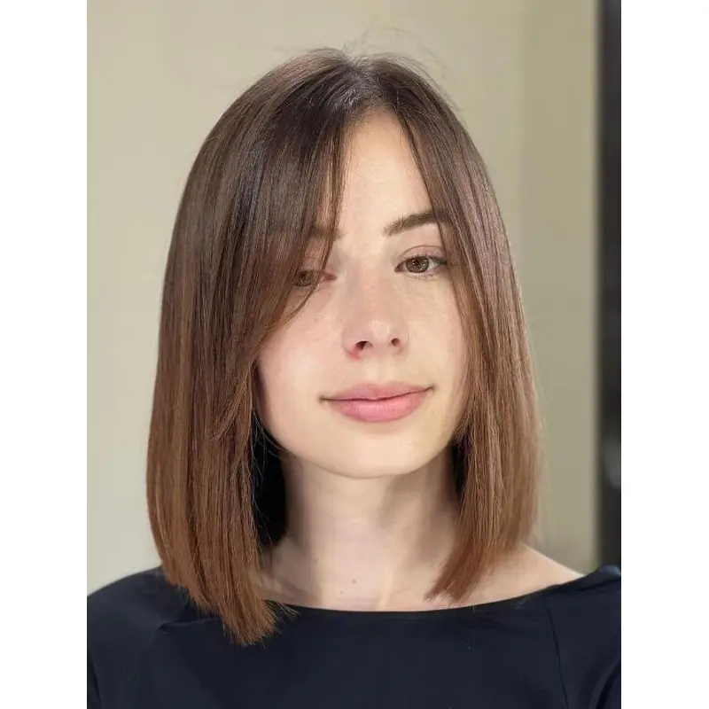 Wigs Shoulder Length Lace Front Straight Wigs Bob Brown Synthetic Wigs