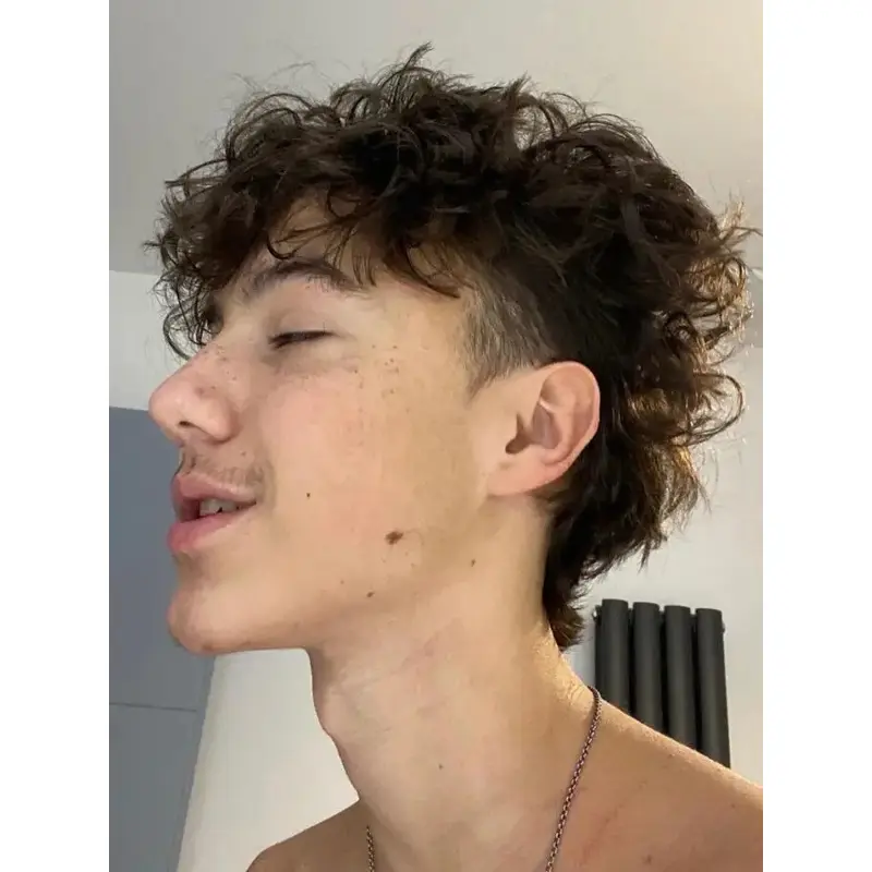 Short Hair Wigs For Men Layered Brown Curly 6" Wigs