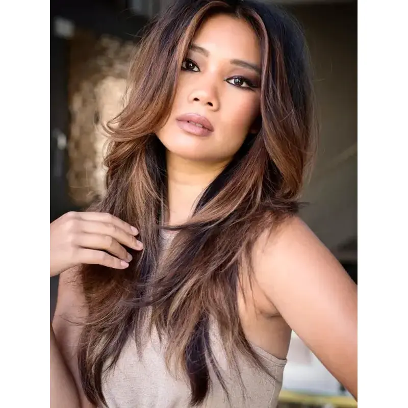 Long Brown Hair Wig Wavy Brown Synthetic Wig Lace Front Long Layered Wigs