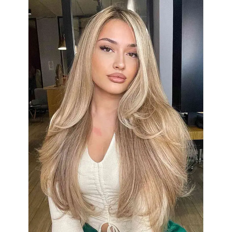Wigs Long Hair Without Bangs Straight Wigs Synthetic Lace Front Wigs