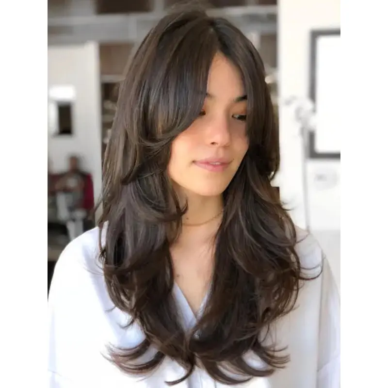 Long Brown Hair Wig Wavy Human Hair Wigs Lace Wig Long Layered Wigs