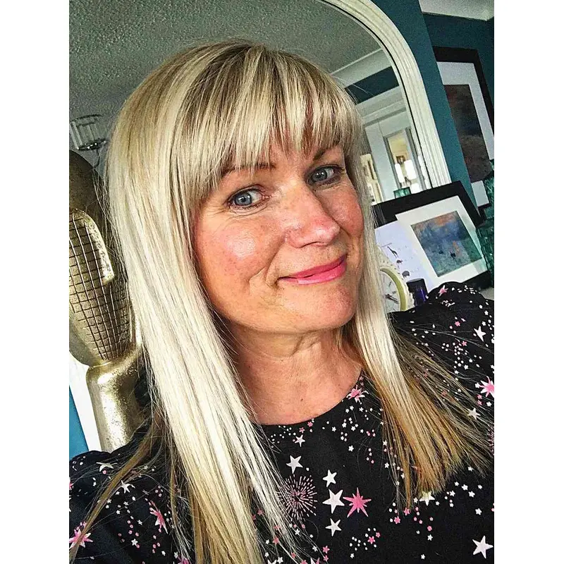 Shoulder Length Wig Straight Lace Front Wigs Synthetic Layered Wigs