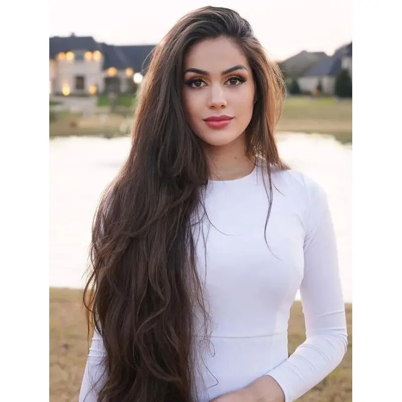 Long Hair Wigs For Women Wavy Lace Brown Wigs Without Bangs Synthetic Wig