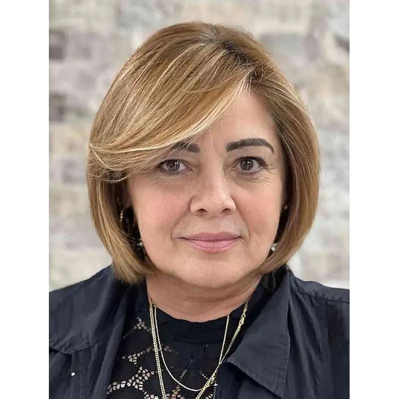 Short Bob Wigs Lace Comfortable Wigs Synthetic Chin Length Wigs