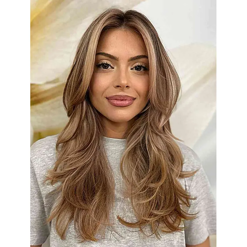 Wigs For Women Lace Front Without Bangs Wigs Synthetic Long Wigs