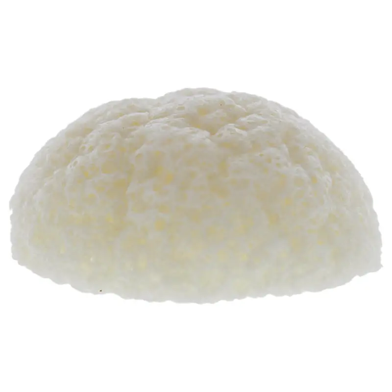 Erborian Natural Konjac Sponge by Erborian for Women - 3.5 oz Sponge