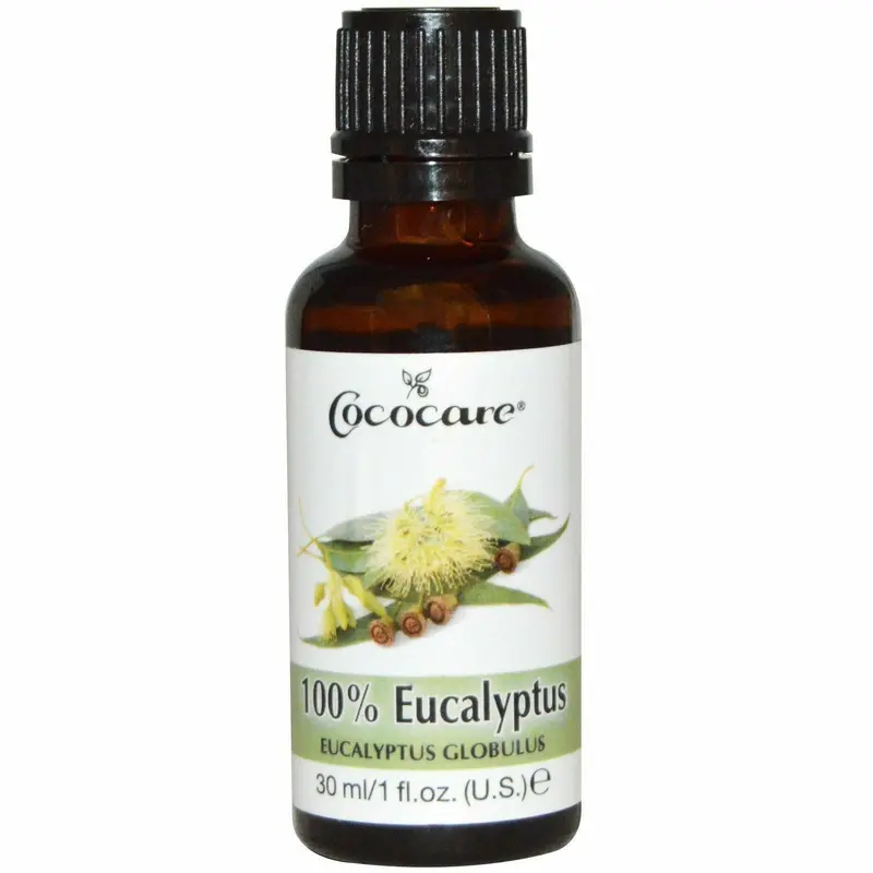 Cococare: 100% Eucalyptus Oil 1oz