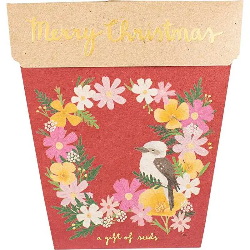 Sow 'n Sow Gift of Seeds Christmas Wildflowers