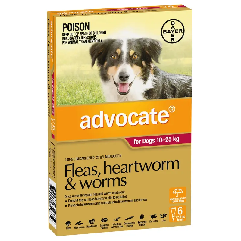 Advocate Dog 10-25 kg Large 6s